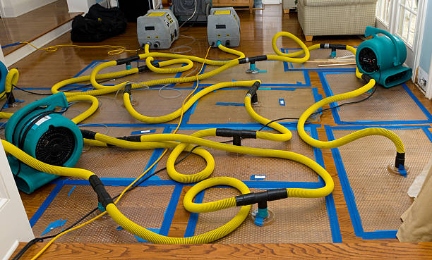 Professional Water Extraction technician working in New Castle, IN